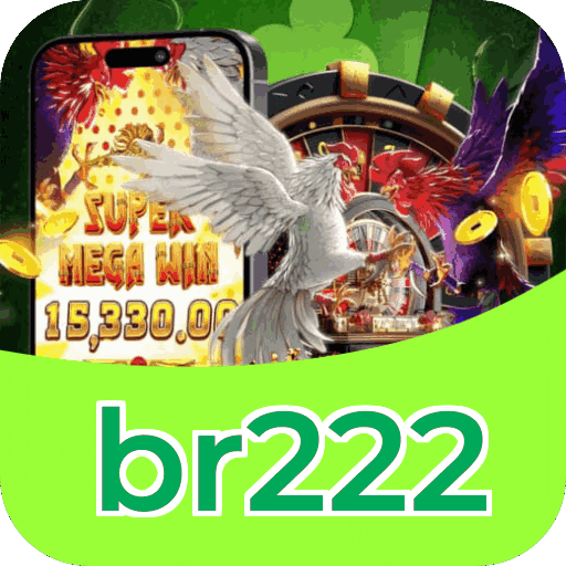 Instalação PC br222