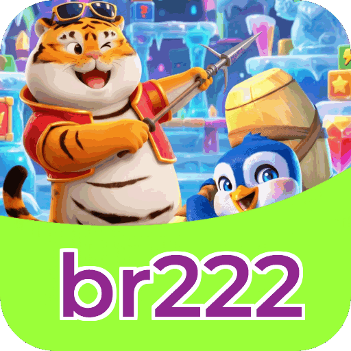 Login rápido no app br222