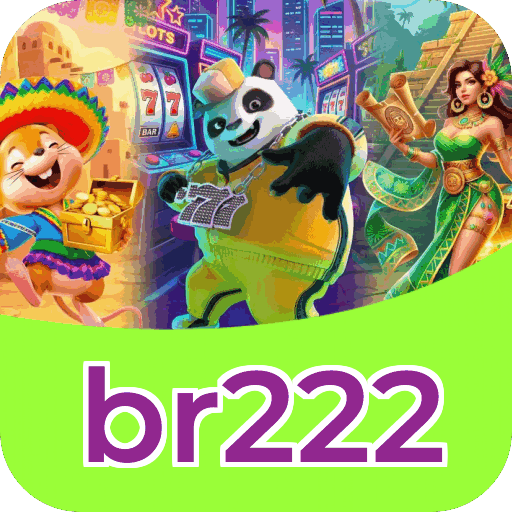Interface br222